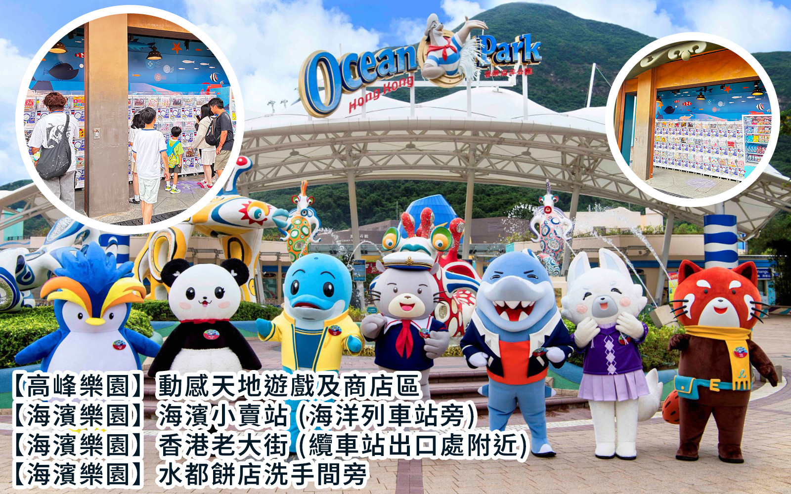 DGG Ocean Park Shop